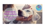 Aufbaukurs 1 Tierkommunikation Online Kurs von Andrea Schädel