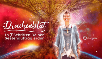 Drachenblut von Katharina Nestelberger